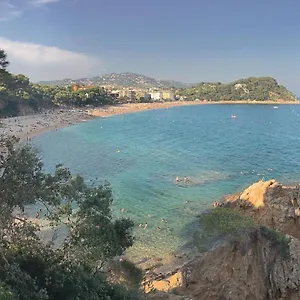https://casa-coco-boutique-hotel-spa-4_s-adults-only.topcostabravahotels.com